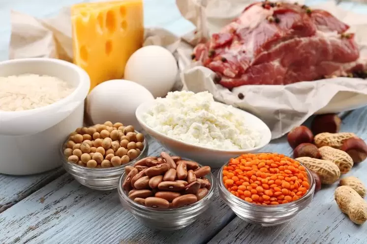 蛋白质饮食产品